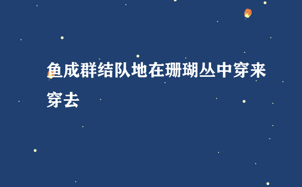 鱼成群结队地在珊瑚丛中穿来穿去