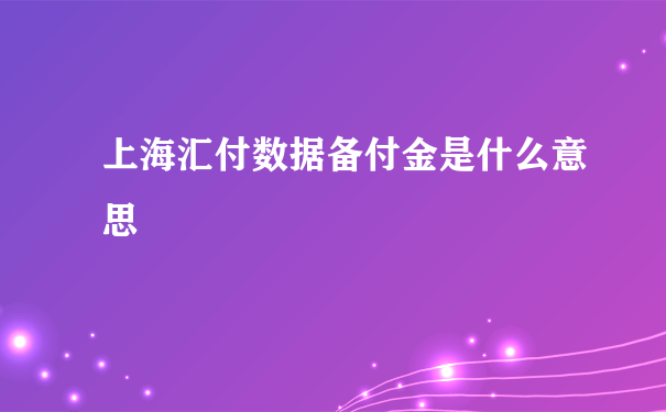 上海汇付数据备付金是什么意思