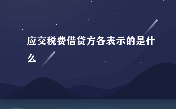 应交税费借贷方各表示的是什么