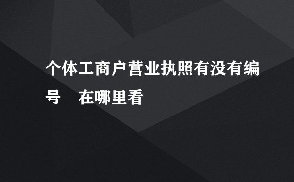 个体工商户营业执照有没有编号 在哪里看