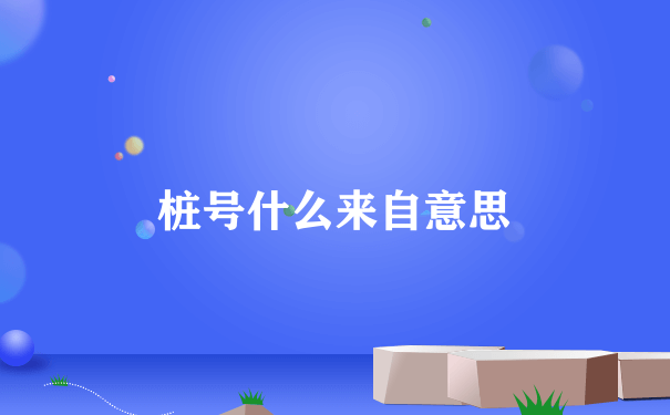 桩号什么来自意思