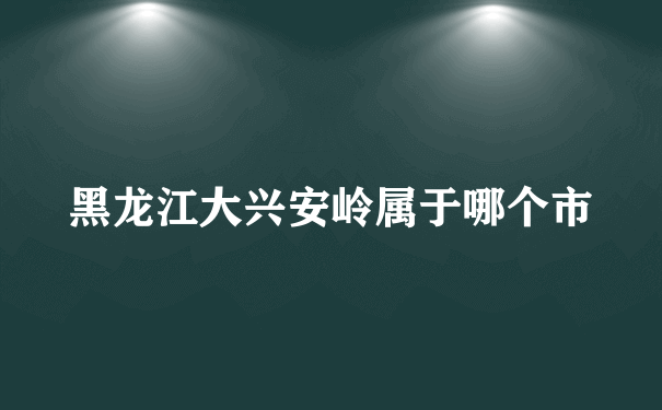 黑龙江大兴安岭属于哪个市