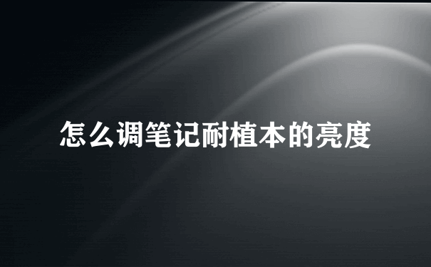 怎么调笔记耐植本的亮度