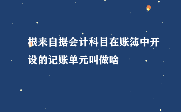 根来自据会计科目在账簿中开设的记账单元叫做啥