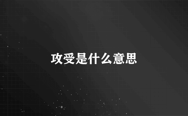 攻受是什么意思