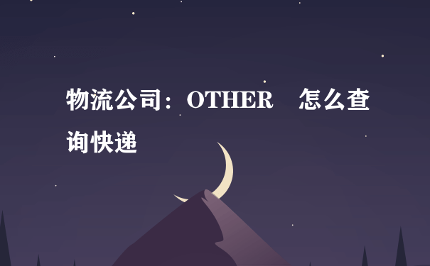 物流公司：OTHER 怎么查询快递