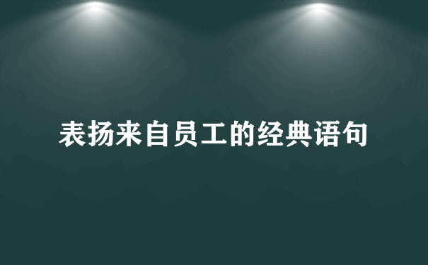 表扬来自员工的经典语句