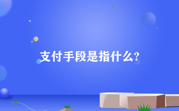 支付手段是指什么?