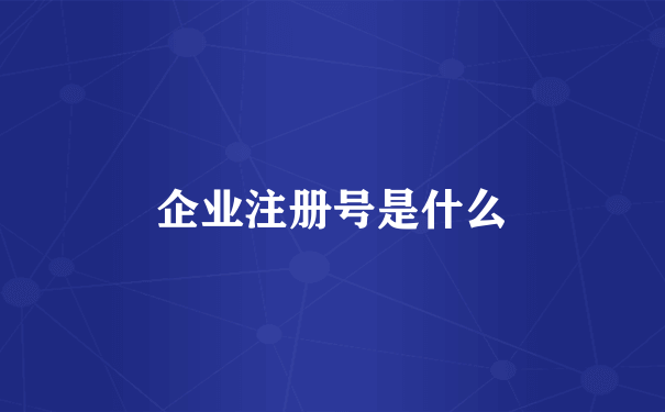 企业注册号是什么