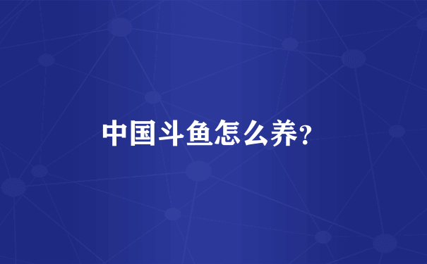 中国斗鱼怎么养？