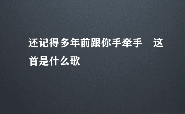 还记得多年前跟你手牵手 这首是什么歌