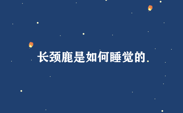 长颈鹿是如何睡觉的