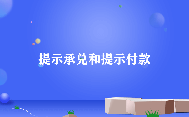 提示承兑和提示付款