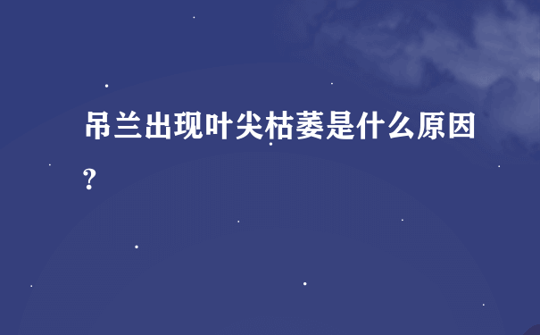 吊兰出现叶尖枯萎是什么原因?