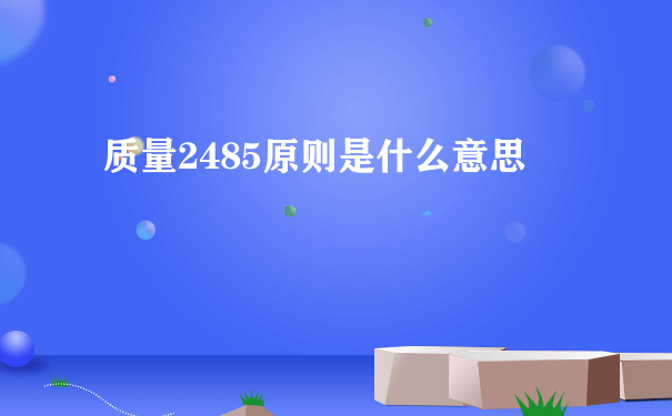 质量2485原则是什么意思