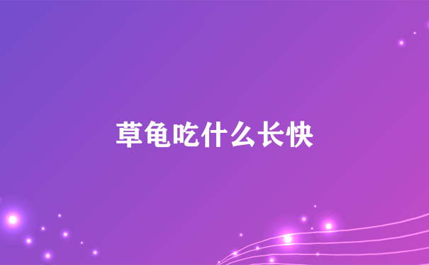 草龟吃什么长快