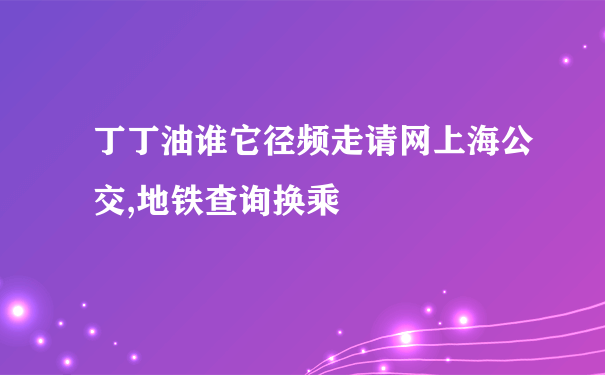 丁丁油谁它径频走请网上海公交,地铁查询换乘