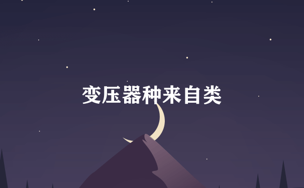 变压器种来自类