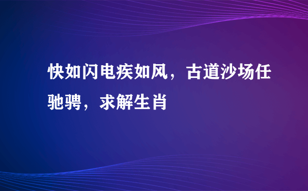 快如闪电疾如风，古道沙场任驰骋，求解生肖