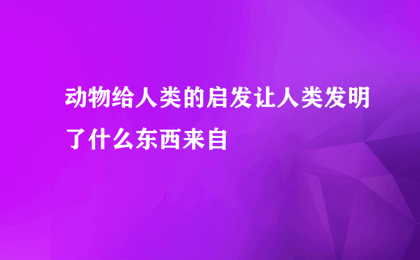 动物给人类的启发让人类发明了什么东西来自