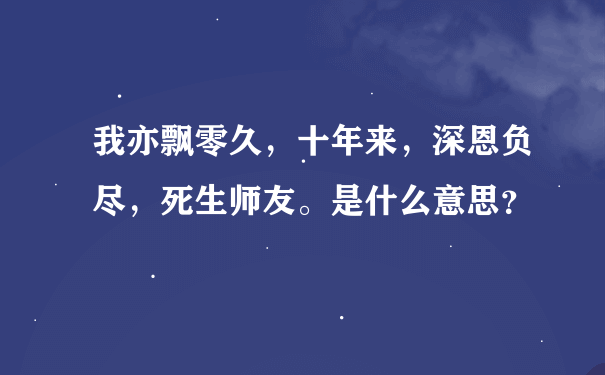 我亦飘零久，十年来，深恩负尽，死生师友。是什么意思？