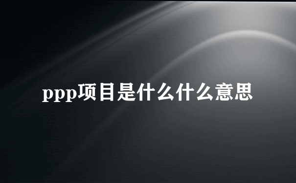 ppp项目是什么什么意思