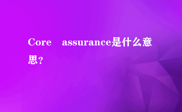 Core assurance是什么意思？