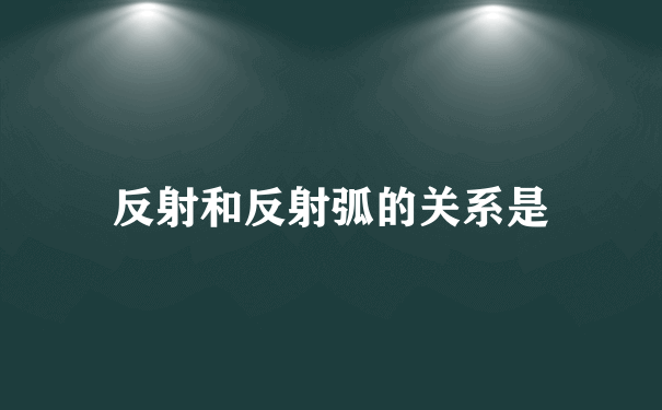 反射和反射弧的关系是