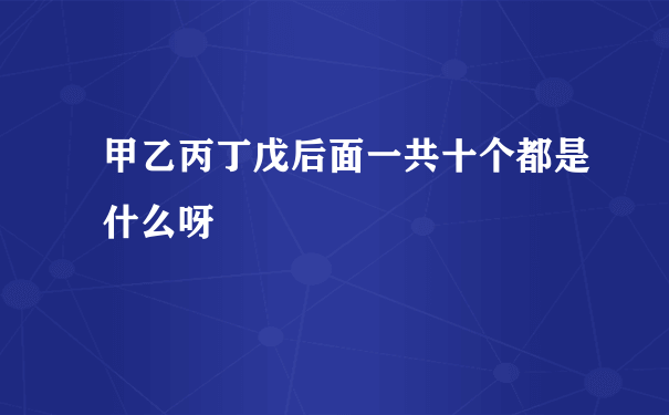 甲乙丙丁戊后面一共十个都是什么呀