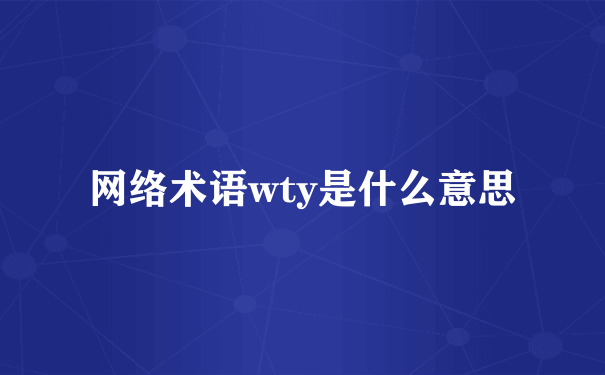 网络术语wty是什么意思