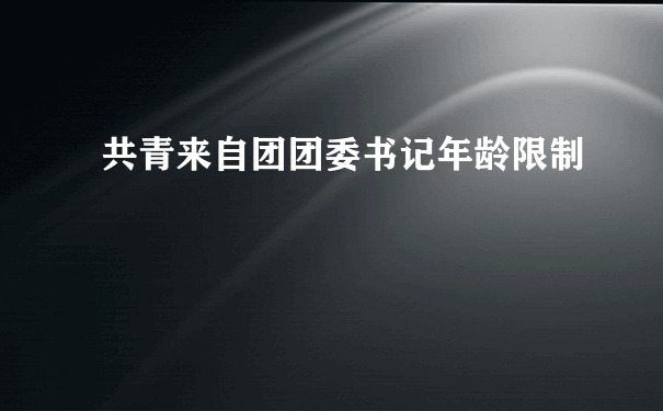 共青来自团团委书记年龄限制