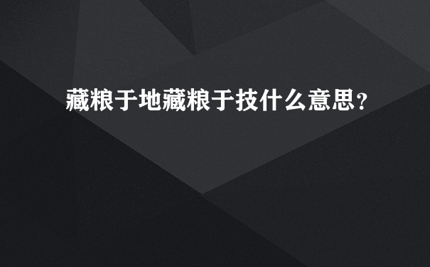 藏粮于地藏粮于技什么意思？