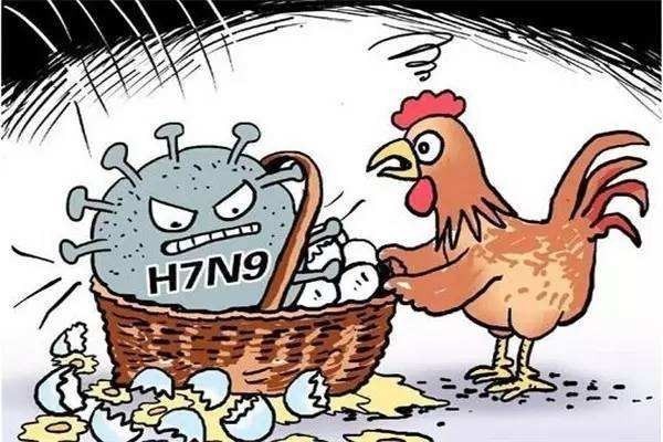 朋友圈的吃西瓜感染H7N9病毒到底是真是假？