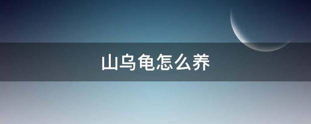 山乌龟怎来自么养