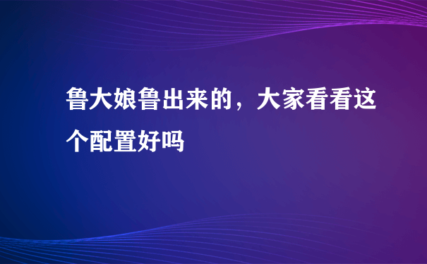 鲁大娘鲁出来的，大家看看这个配置好吗