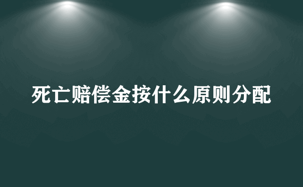 死亡赔偿金按什么原则分配