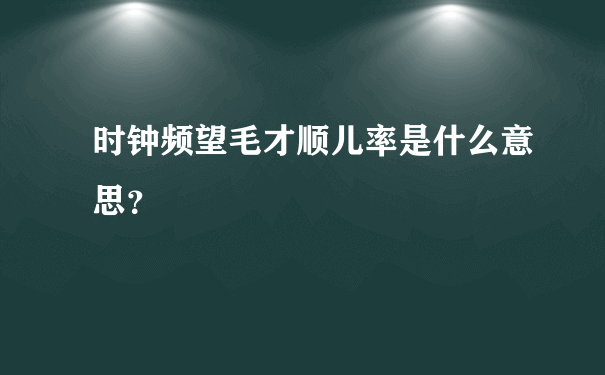 时钟频望毛才顺儿率是什么意思？