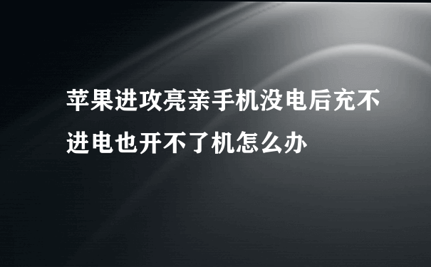 苹果进攻亮亲手机没电后充不进电也开不了机怎么办