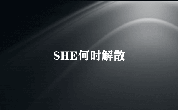 SHE何时解散