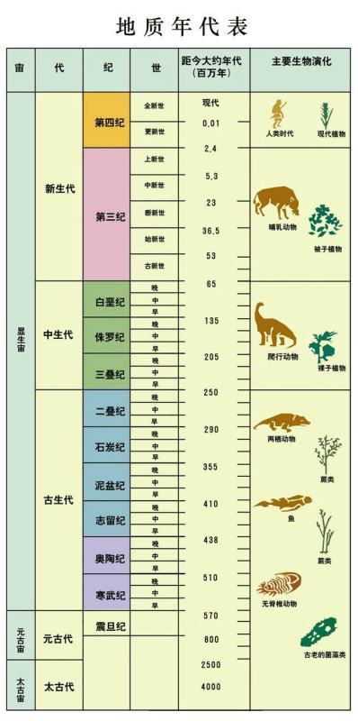 地球上历史地质时代是怎样划分的