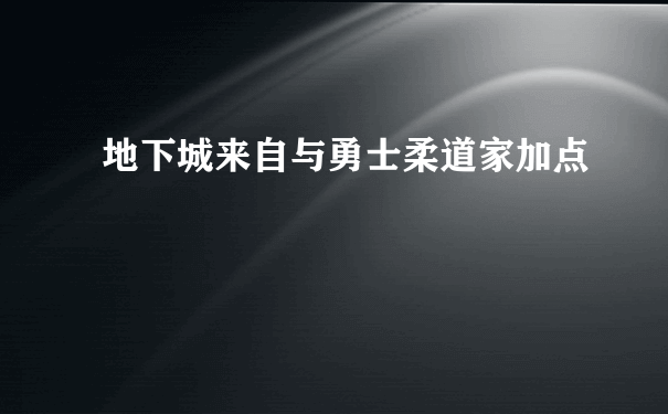 地下城来自与勇士柔道家加点