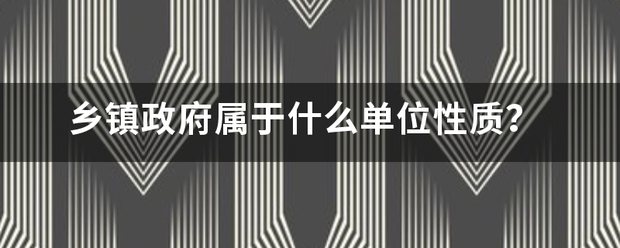 乡镇政府属于什么单位性质？