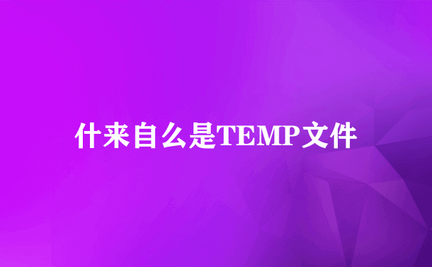 什来自么是TEMP文件