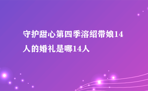 守护甜心第四季溶绍带娘14人的婚礼是哪14人