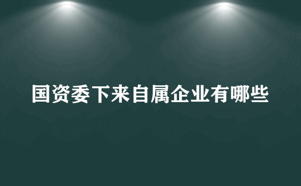 国资委下来自属企业有哪些