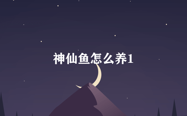 神仙鱼怎么养1