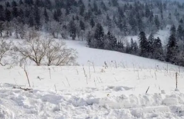 《塞北的雪》歌曲原唱是谁？