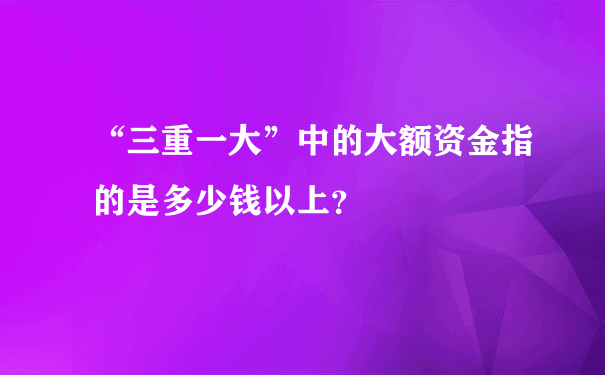 “三重一大”中的大额资金指的是多少钱以上？