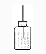 什么东西天气越热爬的越高