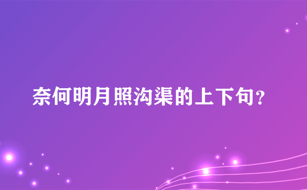 奈何明月照沟渠的上下句？